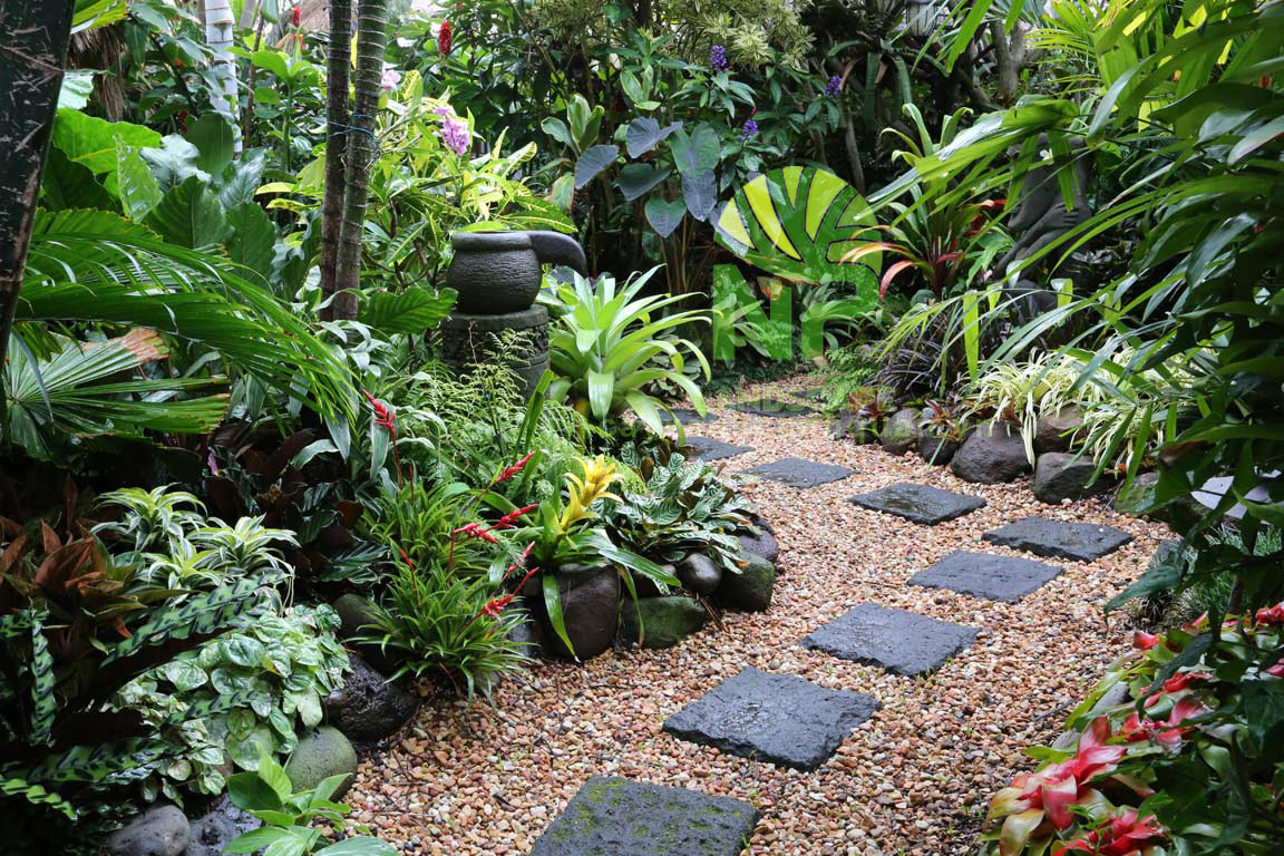 Tropical garden 4
