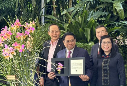 Singapore định danh loài lan mới theo tên Thủ tướng Phạm Minh Chính và phu nhân