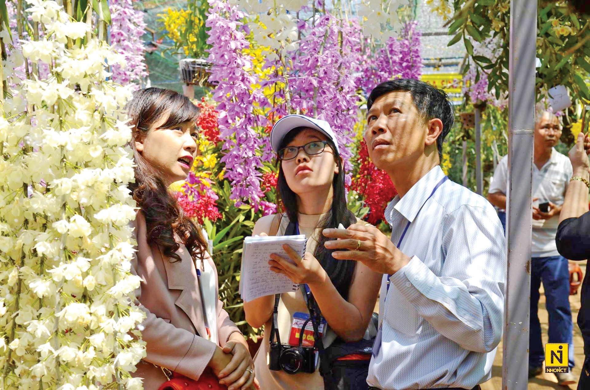 1723846744_126_de-hoa-lan-bao-loc-tro-thanh-thuong-hieu-dac 1723846744 126 De hoa lan Bao Loc tro thanh thuong hieu dac