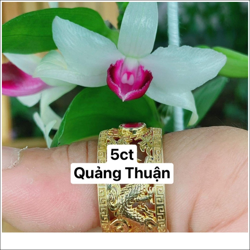 5ct-bet-mui-trang-quang-thuan-4