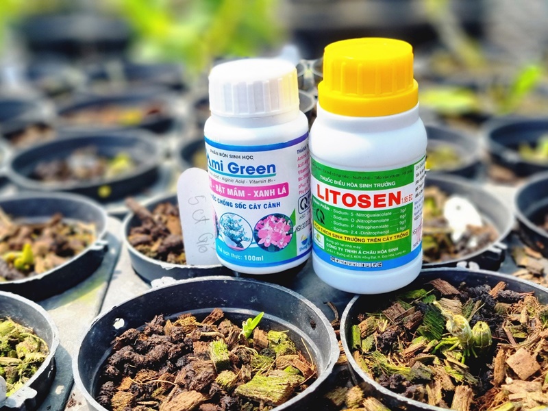 combo-2-thuoc-tri-benh-hoa-lan-cay-canh-2