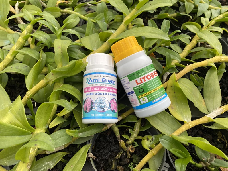 combo-2-thuoc-tri-benh-hoa-lan-cay-canh-4-1