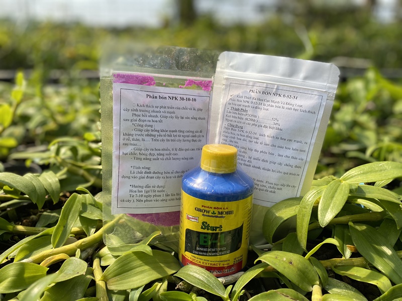 combo-phan-bon-la-cho-hoa-lan-grow-more-va-npk-1