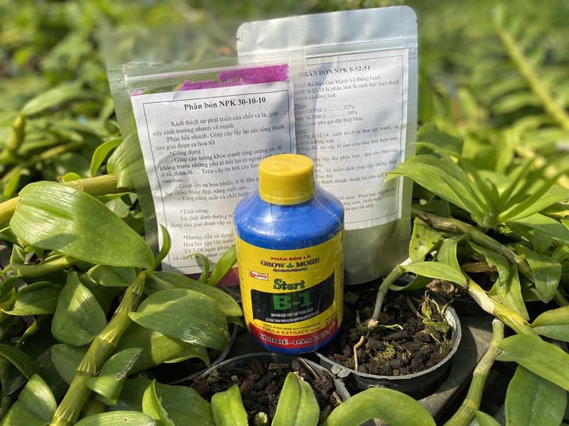 combo-phan-bon-la-cho-hoa-lan-grow-more-va-npk-3