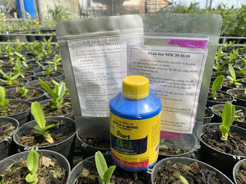 combo-phan-bon-la-cho-hoa-lan-grow-more-va-npk-4