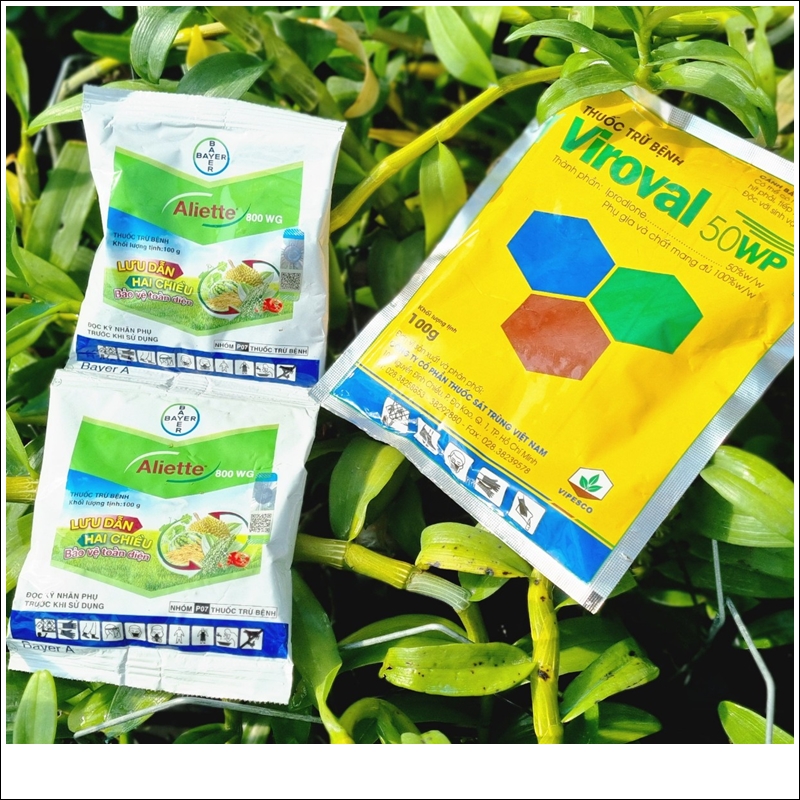 combo-thoi-goc-1-4 combo thoi goc (1)
