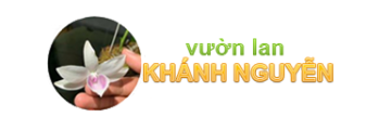 Vườn Lan Khánh Nguyễn