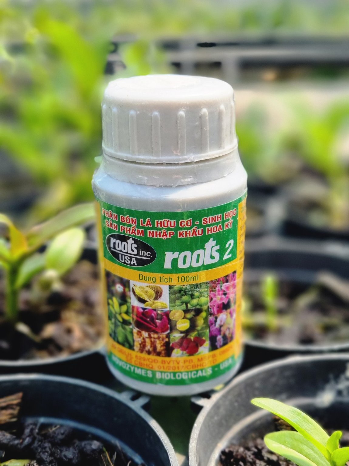 phan-bon-la-cho-hoa-lan-roots-2-2