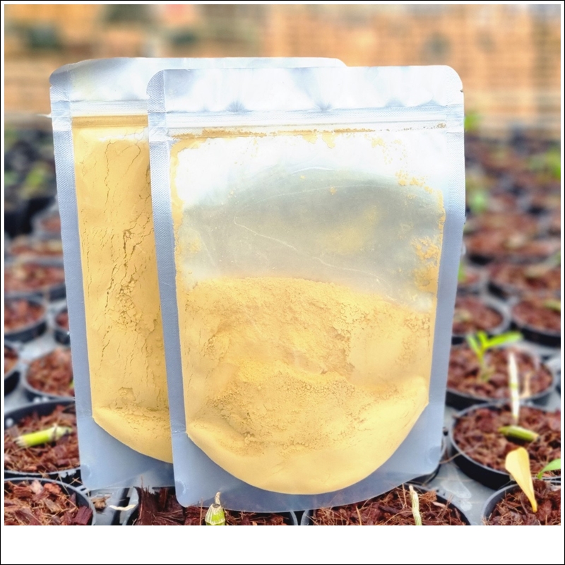 thuoc-tri-oc-sen-metaldehyde-5 thuoc tri oc sen metaldehyde (5)