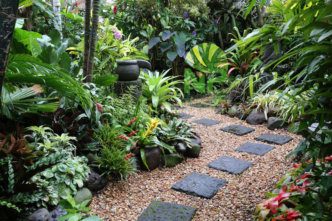 tropical-garden-4 Tropical garden 4